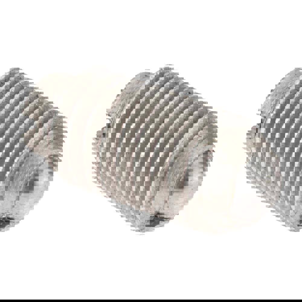 Threaded Ball Plunger: 8-36, 0.093